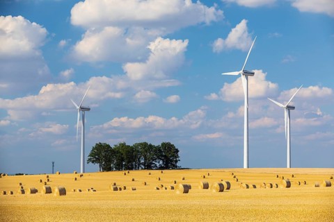 Straw bales on a harvested grain field, stubble field, wind turbines in the background, Nossen,