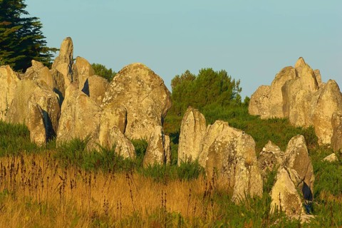 Neolithic menhirs, standing stone row in Carnac with sunrise, Carnac, Quiberon, Morbihan, Brittany,