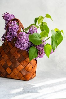 A charming woven basket filled with vibrant purple lilacs and fresh green leaves sits on a light,