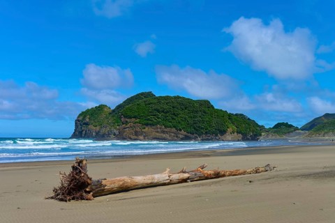 A tree trunk lies in front of an overgrown rock on a sandy beach under a blue sky, Bethells Beach,