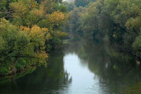 View from the Stone Bridge onto the wooded banks of the Danube, Regensburg, Upper Palatinate,