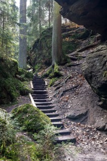 Hiking trail over stairs in Teufelsgrund near Wehlen, Saxon Switzerland, Saxony, Germany