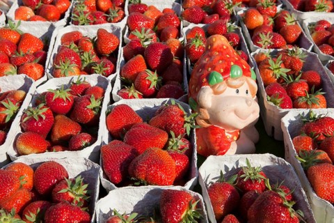 Strawberries at a market stall, Hanover, Lower Saxony, Germany, Europe, Erdbeeren an einem