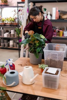 A young woman in a garden center carefully tends to a plant in a pot. Surrounded by gardening tools