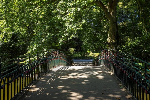 Dortmund, North Rhine-Westphalia, Germany - Rombergpark. Walkway over a bridge in the Rombergpark