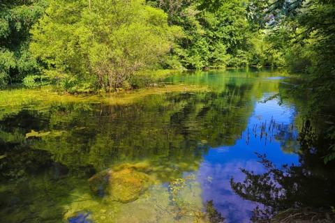 Gönninger Seen, lime tufa nature trail, idyll, nature, at the foot of the Swabian Alb, Gönningen