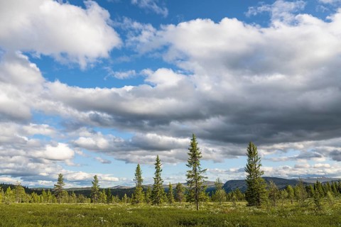 Cloudy sky over mountains, Alvdal Vestfjell, Hedmark, Innlandet, Norway, June 2025