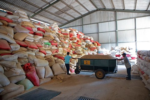 Warehouse for bags full of coffee beans, coffee plantation in the Jutiapa department, Guatemala