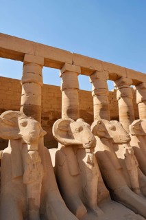 Aries sphinxes in front of the colonnades, Karnak Temple, Luxor, Egypt