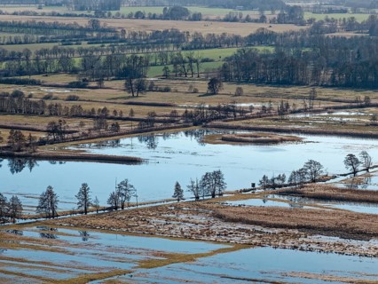 Moats and wetlands in the UNESCO Drömling Biosphere Reserve in the Altmark near Mieste on a sunny