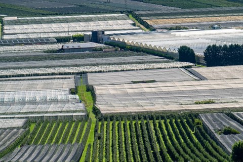 Apple-growing area and wine-growing, in the Adige Valley, South Tyrol, large areas under