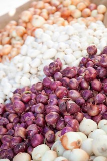 Colorful variety of freshly picked organic onions on display at the farmers market
