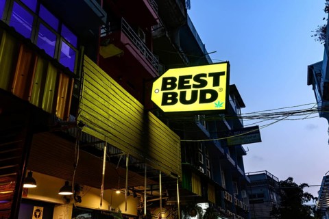 Best Bud sign for Legal cannabis and marijuana products store selling Thai weed and CBD and