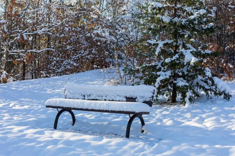 Snow-covered bench in the winter forest, spoil tip from the former Deutschlandschacht in Oelsnitz