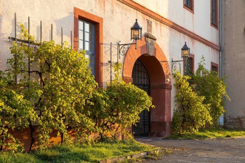 Entrance to Trebsen Castle in the morning light, south facade, Trebsen, Saxony, Germany