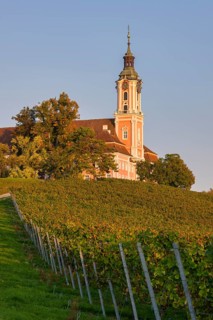 Baroque church bathed in warm sunlight, surrounded by autumnal vineyards, Birnau pilgrimage church
