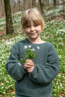 Blond girl, 6 years old, picking wood anemones (Anemone nemorosa) in the spring in Ystad
