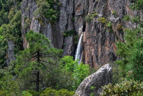 Cascade de Piscia di Gallo waterfall, Piscia di Ghjaddu, Alta Rocca, Corsica, France