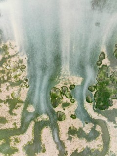 Network of channels and streams at low tide at their confluence with a larger body of water, in the