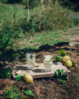 Two glasses of refreshing lemonade with ice and lemon slices sit on a wooden board outdoors.