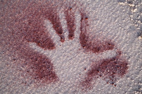 Hand outline in the sand, François Péron National Park, Shark Bay, State of Western Australia,