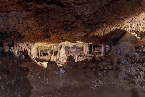 Limestone rock formations in a cave at Florida Caverns State Park in the Florida panhandle near
