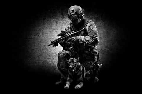 Dog handler posing in the studio with a trained shepherd. The concept of border protection,