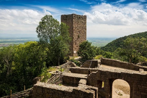 Castle ruins, Les Trois Châteaux d'Eguisheim, Eguisheim, Plus beaux villages de France, Haut-Rhin,