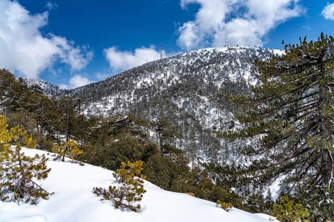 Snowy landscape in the Troodos Mountains in Trodoos, Cyprus