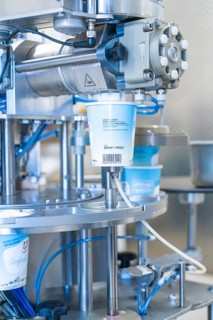 Various cups are efficiently filled with yoghurt, ice cream production farm ice cream, Haselstaller