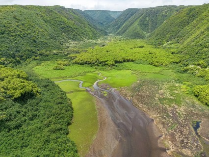 Aerial view of the Pololu Valley, Big Island, Hawaii, USA, North America