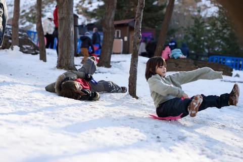 Children enjoying sledding in the snowy landscapes of Sierra Nevada Ski Resort, Granada. The scene