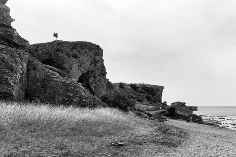 Cliffs made of reef limestone, distinctive coastline, hikers, monochrome, Hoburgen, south of the