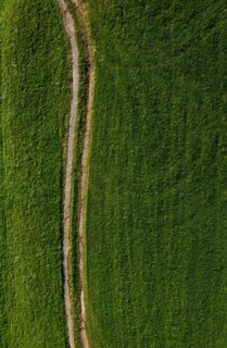 Drone shot, meadow path leads through a green meadow, from above, structure, agriculture,