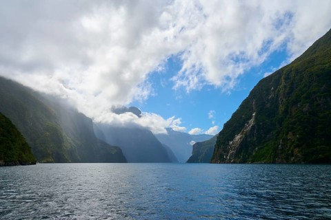 Wide fjord with steep, forested slopes and dramatic cloud formations in the sky, summer, Milford