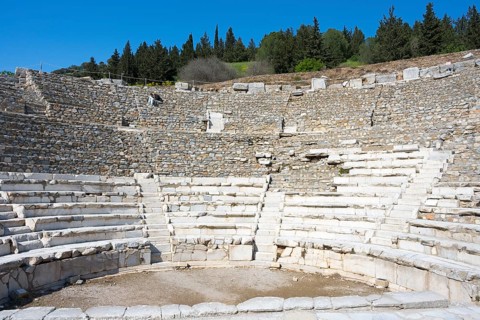 Ruins of an ancient stone amphitheatre surrounded by nature, theatre, Efes, Ephesus, Ephesus,