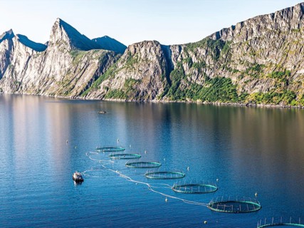 Aerial view of a salmon farm, aquaculture in the Mefjord on Senja island, in the background the