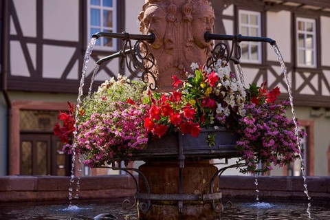 Historic Schnatterloch market fountain with flowering plants in Miltenberg, Lower Franconia,