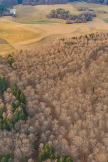 Forest and fields taken from the air in warm autumn colors, forest pasture compensation project by