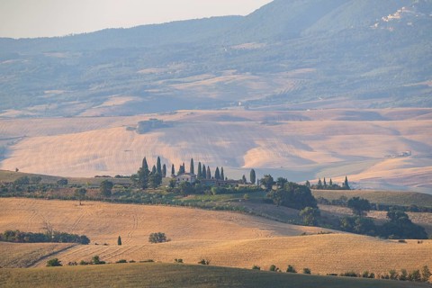 Typical Tuscan landscape in Val d'Orcia with hills, trees, fields, farmhouses and cypresses at