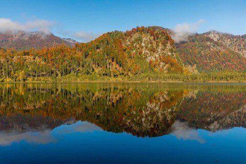 Lake Almsee in autumn with a forest reflected in the lake. A slowly dissipating fog moves over the
