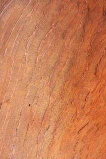 Close-up of a sandstone surface showcasing natural abstract textures with varying shades of earthy