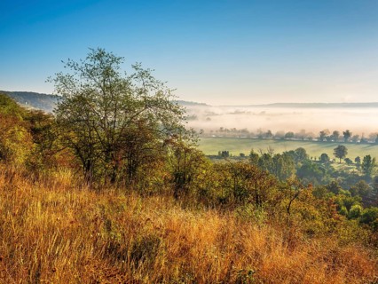Morning atmosphere in the Saale Valley in autumn, fog sweeps through the valley, Naumburg,