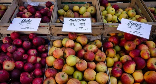 Range of different types of apples, Gala, Rubinette, Topaz, apples, apple crates, fruit, weekly