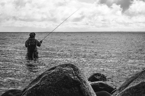 Anglers in the water on the Baltic Sea