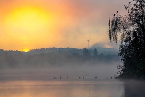 Sunrise, autumnal atmosphere at Lake Baldeney, near Haus Scheppen, in Essen, North