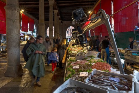 Fish market, rialto market in the San Polo district, Venice, Veneto, Italy