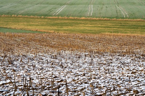 Agricultural fields in winter, Oberweser, Upper Weser Valley, Weser Uplands, Weserbergland, Hesse,