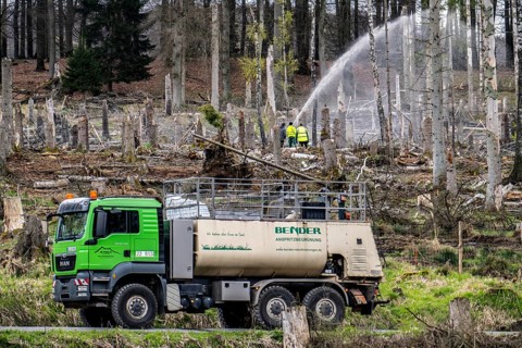 Spraying of a cleared forest area on which spruce trees infested by the bark beetle have died, thus