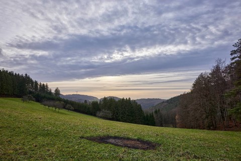 Landscape with meadow, forest and mountains in backlight near Schuttertal, Black Forest,